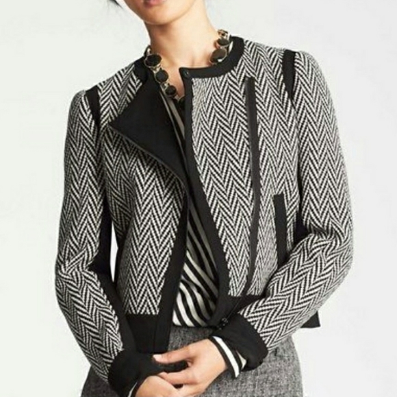 Ann Taylor Jackets & Blazers - ANN TAYLOR Herringbone Moto Zip Blazer Jacket 6